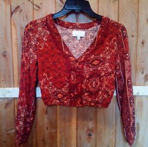 Long Sleeve Crop Top